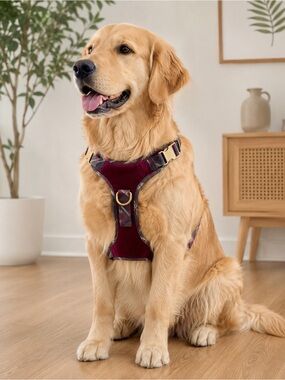 NWT Head Burgundy Velvet Dog Harness Size L